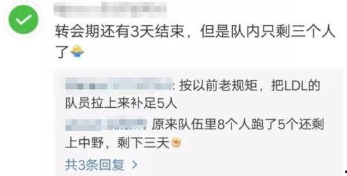 v5教练最新爆料视频,揭秘电竞圈幕后真相与精彩瞬间 第2张 v5教练最新爆料视频,揭秘电竞圈幕后真相与精彩瞬间 第2张